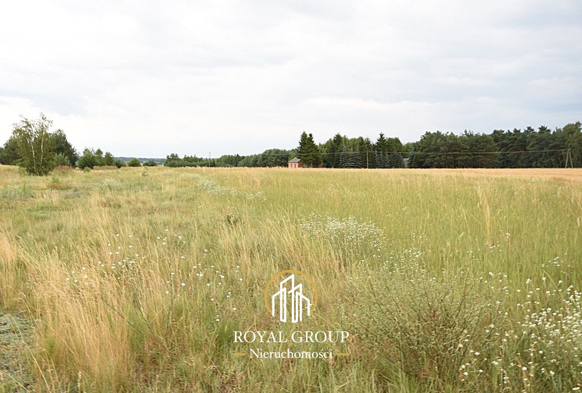 Działka siedliskowa Górka. Zdjęcie 4