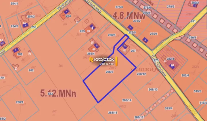 Działka inwestycyjna Drewnica, ul. Kasztanowa
