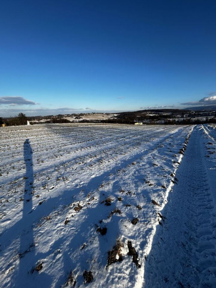 Działka budowlana Iskrzyczyn. Zdjęcie 4