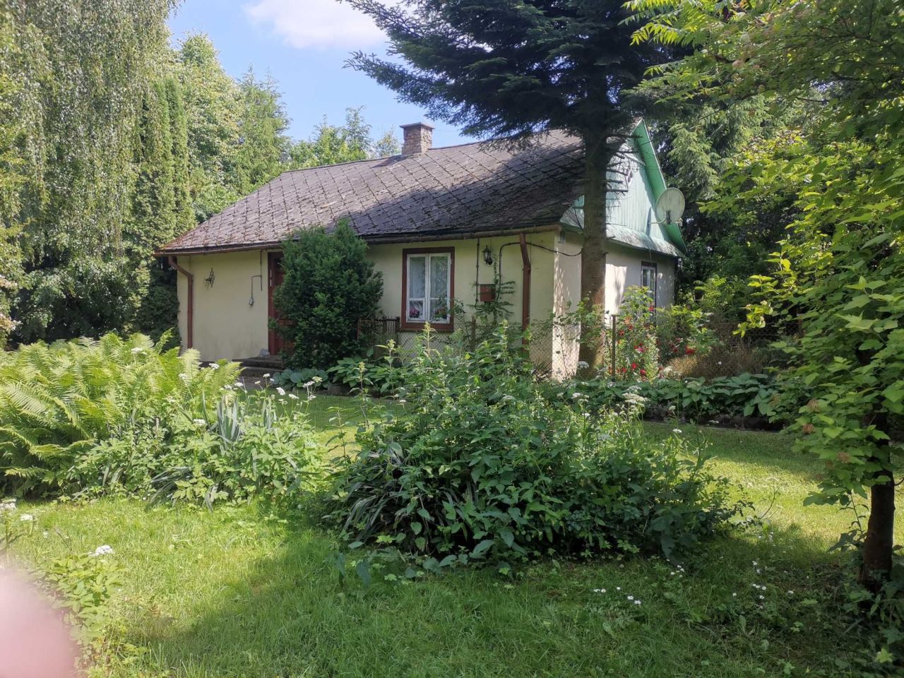 Działka siedliskowa Krzak. Zdjęcie 2