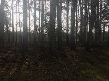 Działka rolno-budowlana Topolina, ul. Graniczna. Zdjęcie 2