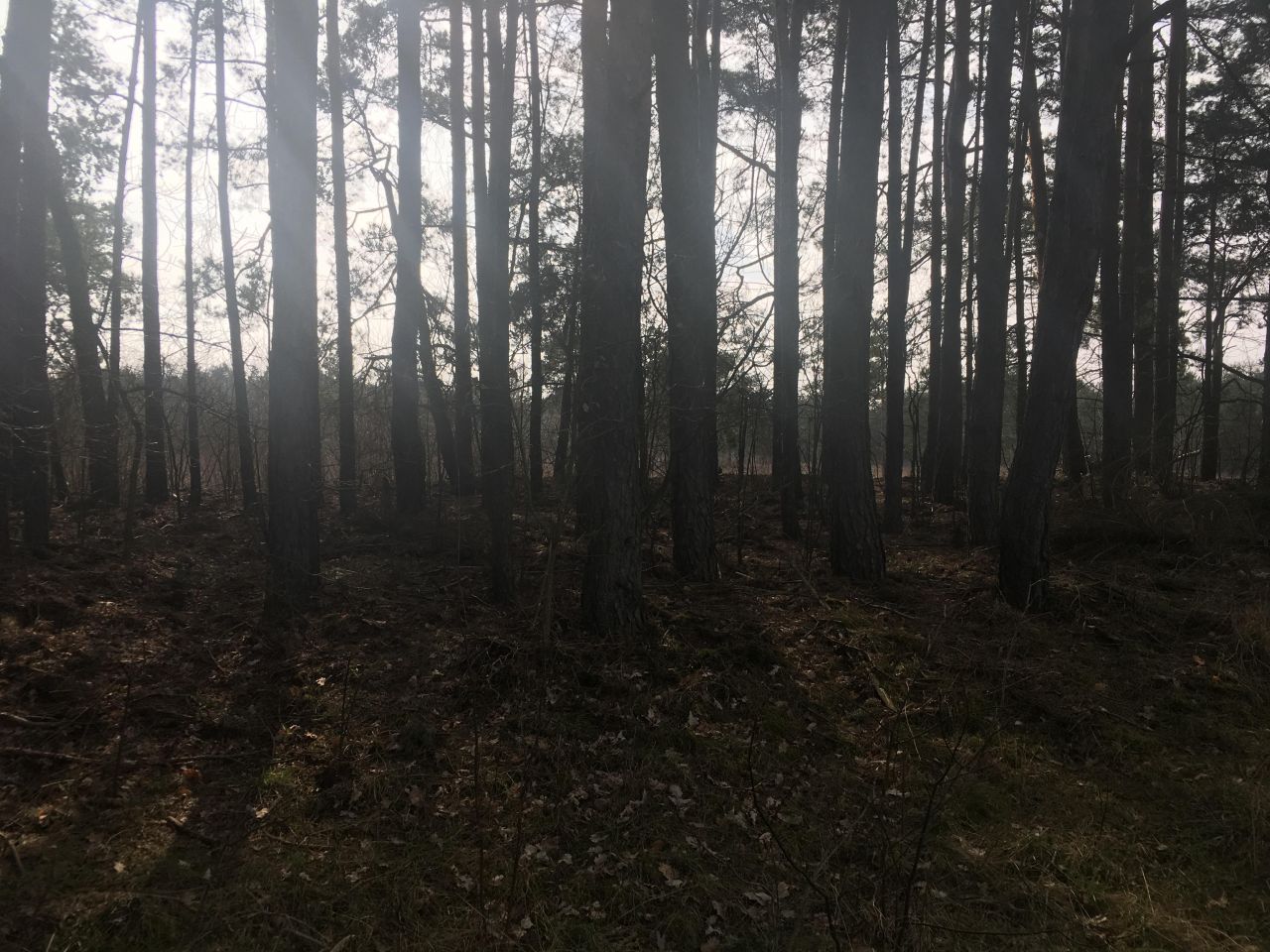 Działka rolno-budowlana Topolina, ul. Graniczna. Zdjęcie 3