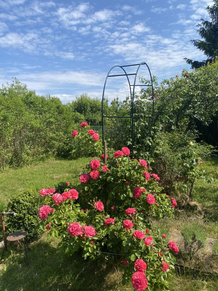 Działka rod Gdynia Mały Kack, ul. Grodnieńska. Zdjęcie 37