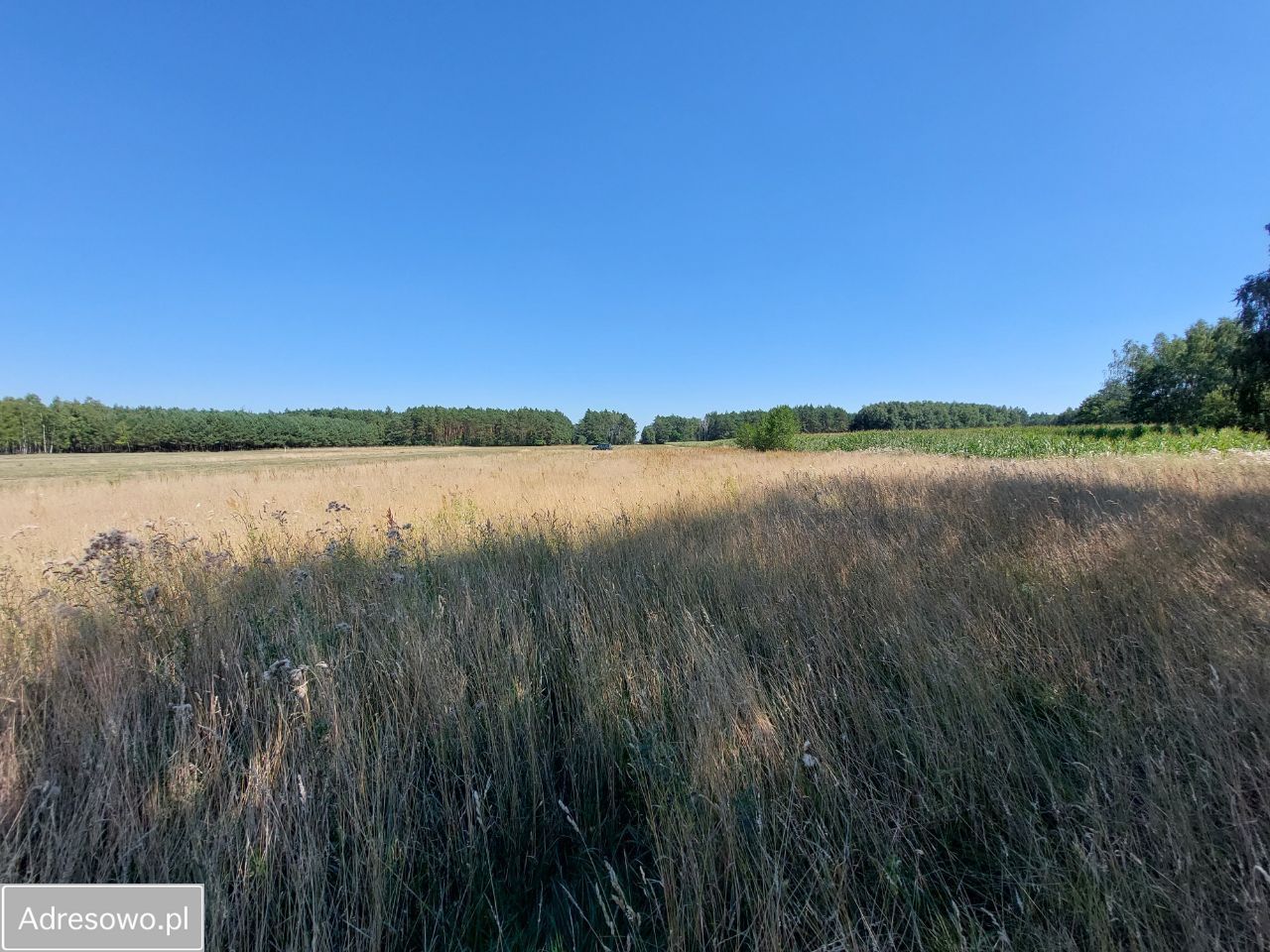 Działka rolno-budowlana Wrzeczko. Zdjęcie 4