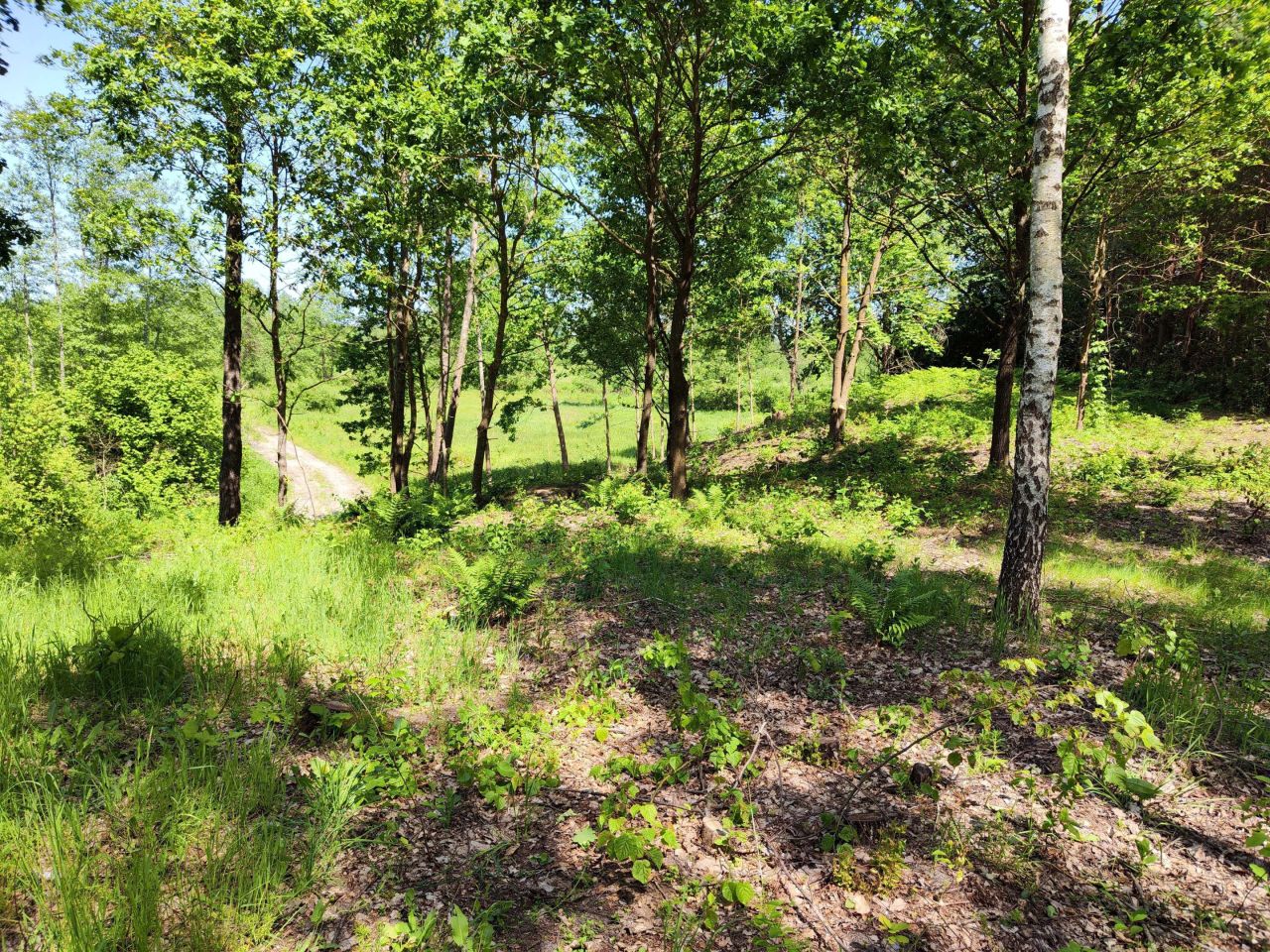 Działka budowlana Sobibór. Zdjęcie 3