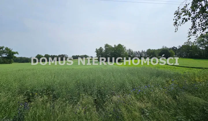 Działka rolna Gałkówek-Parcela