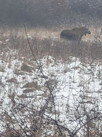 Działka budowlana Dąbrowa Górnicza Sikorka, ul. Czajkowa. Zdjęcie 3