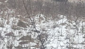 Działka budowlana Dąbrowa Górnicza Sikorka, ul. Czajkowa