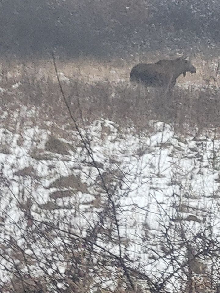 Działka budowlana Dąbrowa Górnicza Sikorka, ul. Czajkowa. Zdjęcie 3