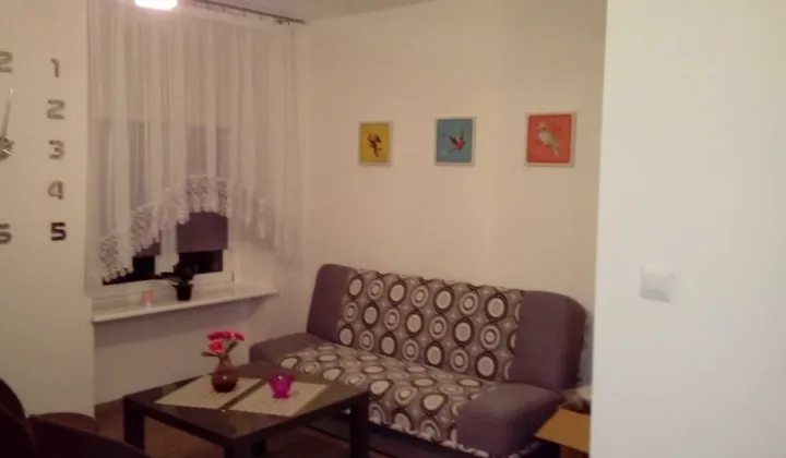 Mieszkanie 1-pokojowe Ostróda, ul. Olsztyńska