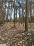 Działka budowlana Bieniewiec, ul. Spacerowa. Zdjęcie 2