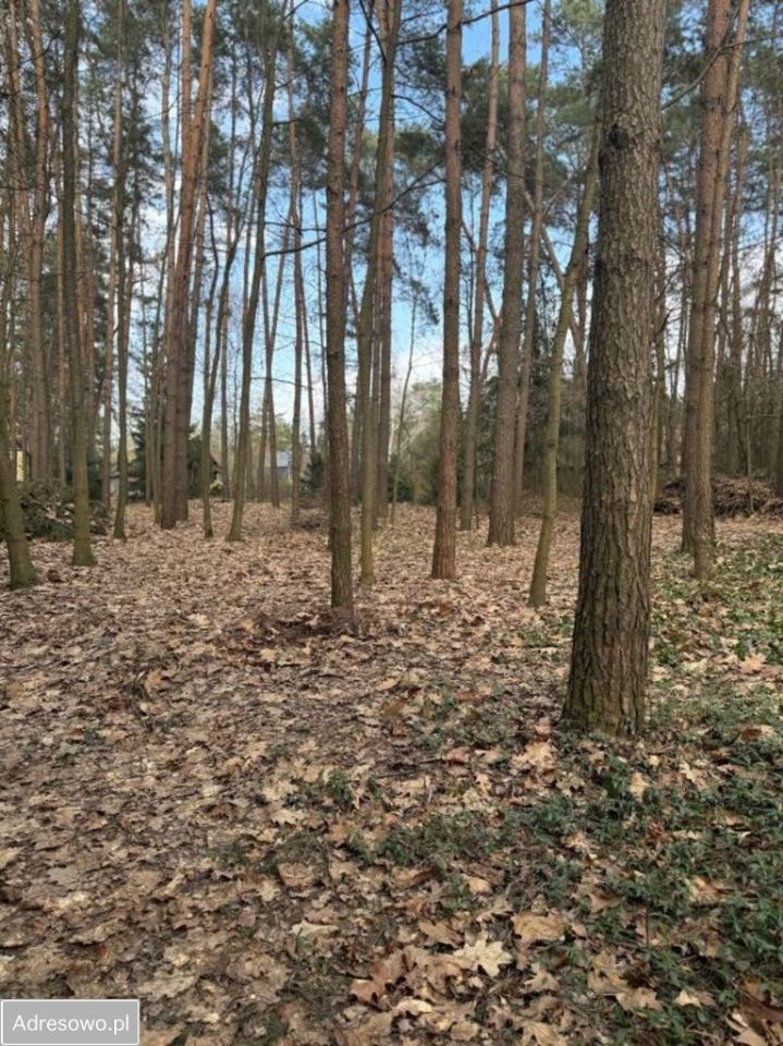 Działka budowlana Bieniewiec, ul. Spacerowa. Zdjęcie 3
