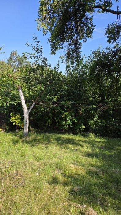 Działka rod Gdańsk Morena, ul. Łabędzia. Zdjęcie 14