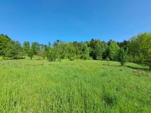 Działka rolna Baryczka. Zdjęcie 3