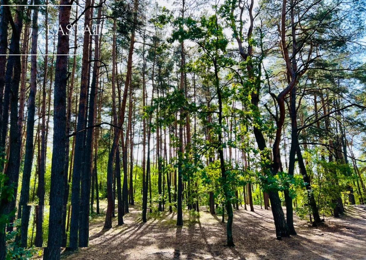 Działka inwestycyjna Józefów, ul. Księdza Malinowskiego. Zdjęcie 2