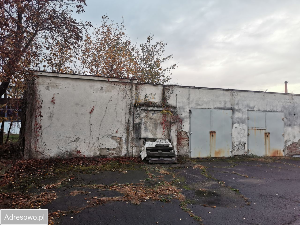 Lokal Jasło Niegłowice, ul. 3 Maja. Zdjęcie 6