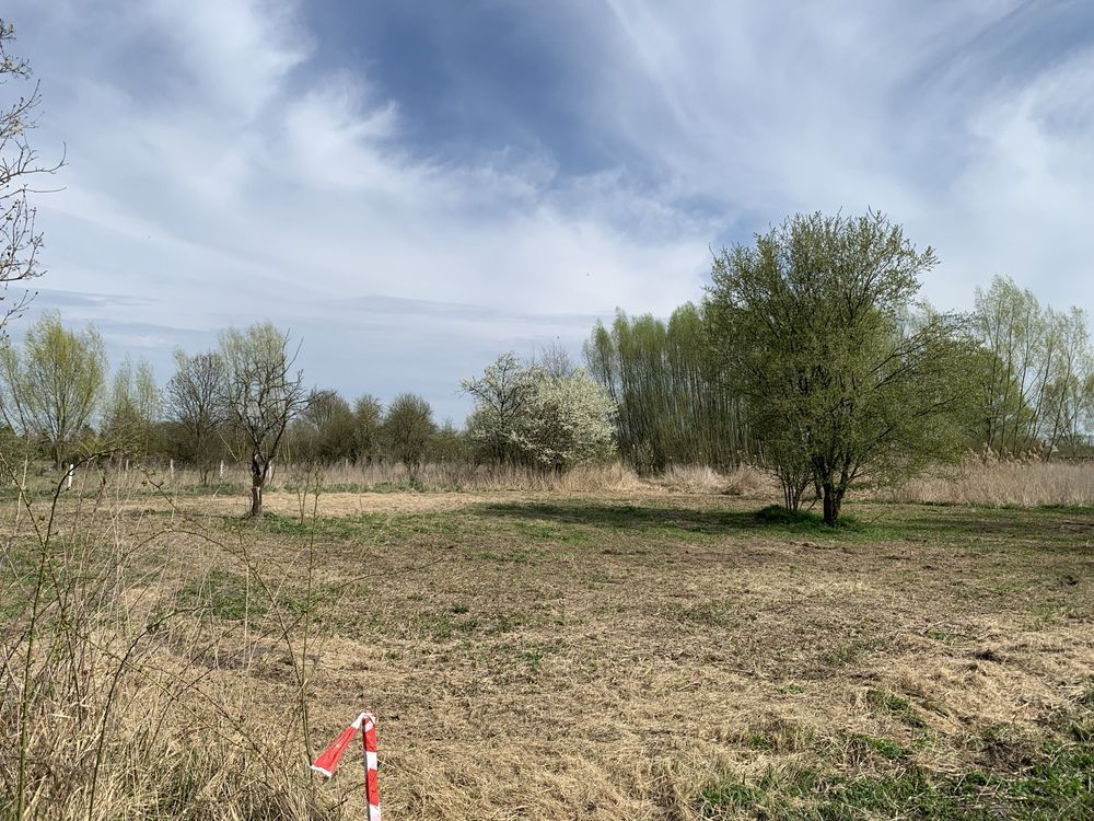 Działka budowlana Jenin. Zdjęcie 3