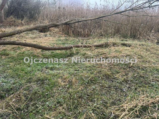 Działka Jeleń. Zdjęcie 4