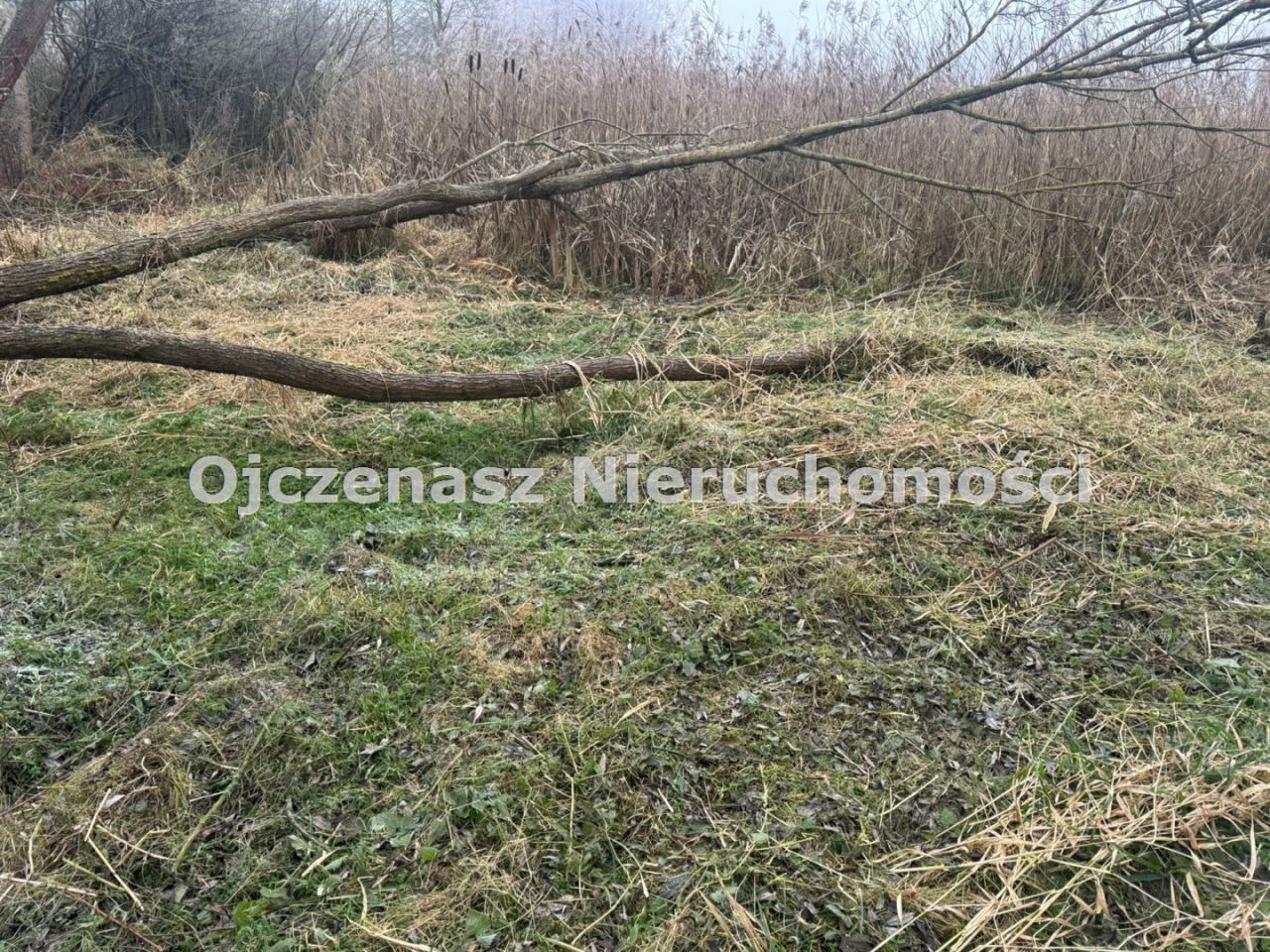 Działka Jeleń. Zdjęcie 4