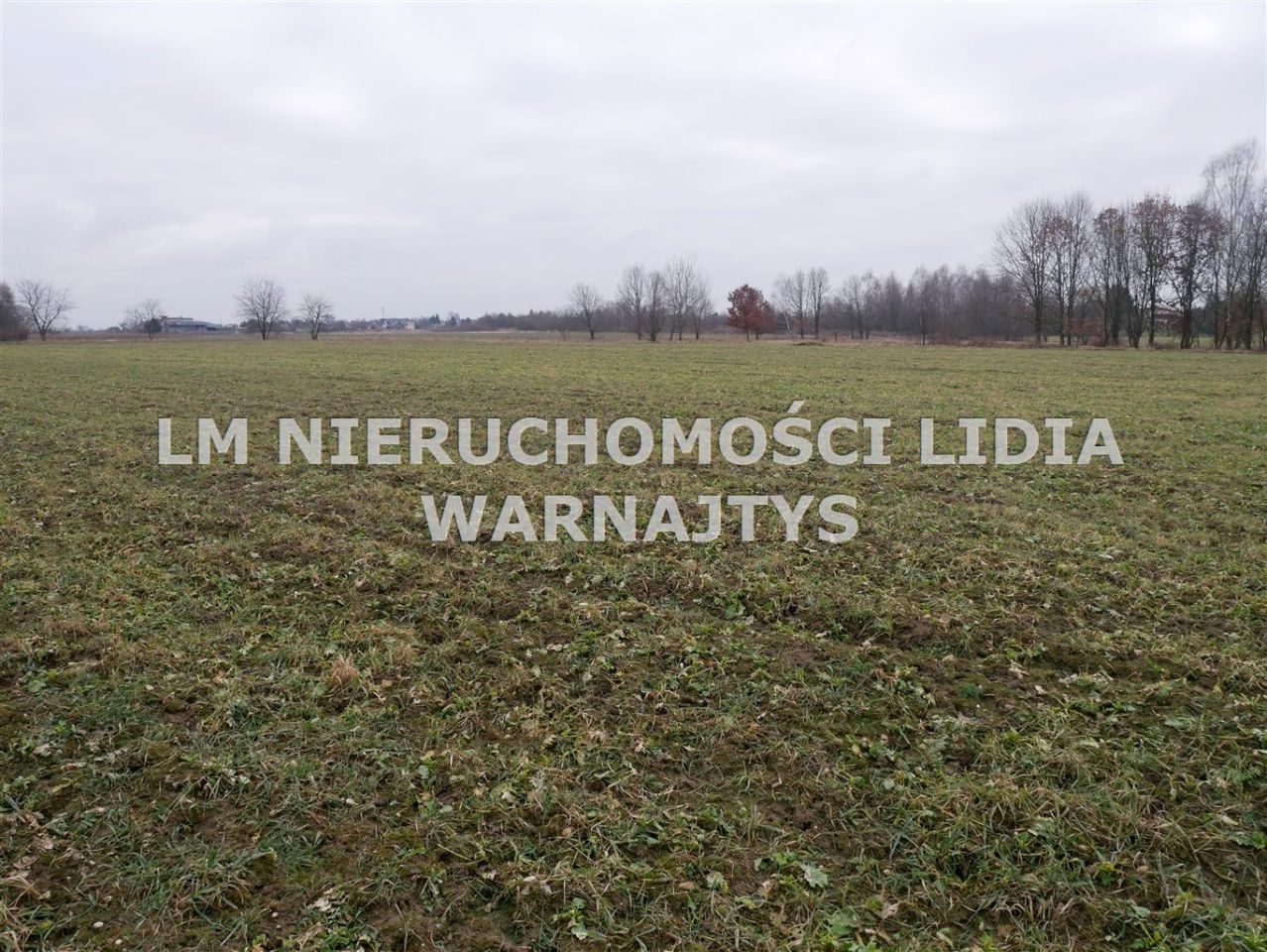 Działka Czerwionka-Leszczyny Leszczyny, ul. Żorska. Zdjęcie 4