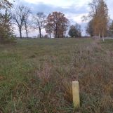 Działka rolna Mazuchówka. Zdjęcie 2