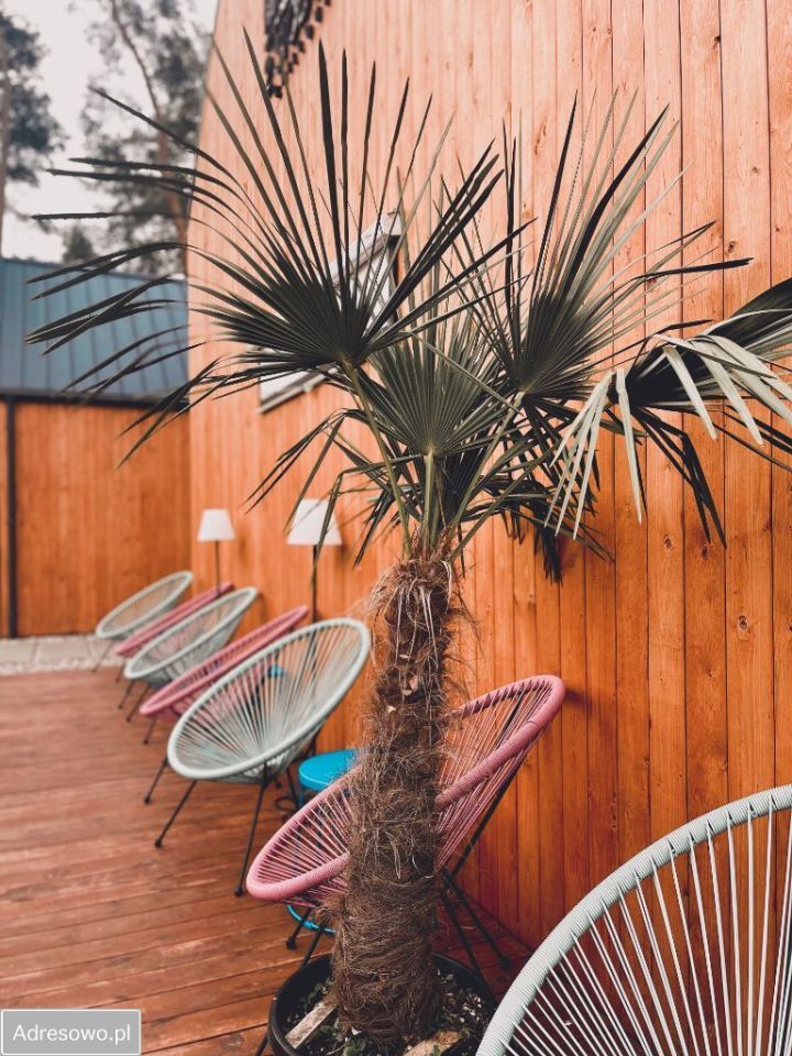 Nieruchomość komercyjna Dziwnów, ul. Daglezji. Zdjęcie 12