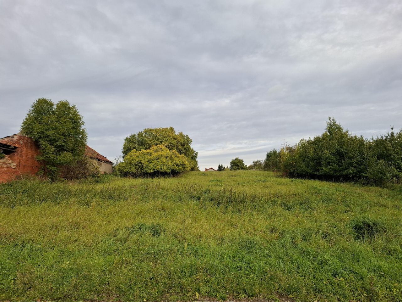 Działka rolno-budowlana Banie, ul. Myśliborska