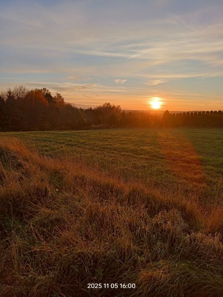 Działka budowlana Osiek. Zdjęcie 5