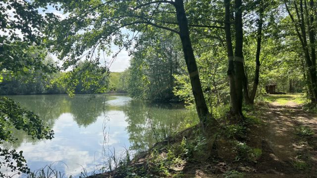 Działka rekreacyjna Osieczna. Zdjęcie 25