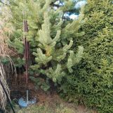 Działka rod Łaziska Górne Łaziska Średnie. Zdjęcie 3