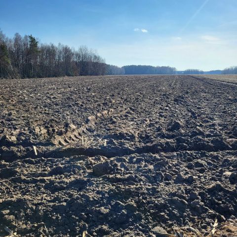 Działka rolna Kosów Lacki, ul. Młynarska. Zdjęcie 1