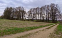 Działka budowlana Mierzyn. Zdjęcie 1