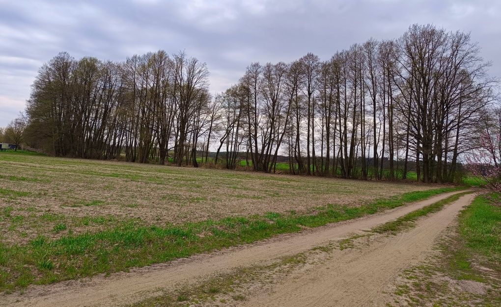 Działka budowlana Mierzyn. Zdjęcie 2