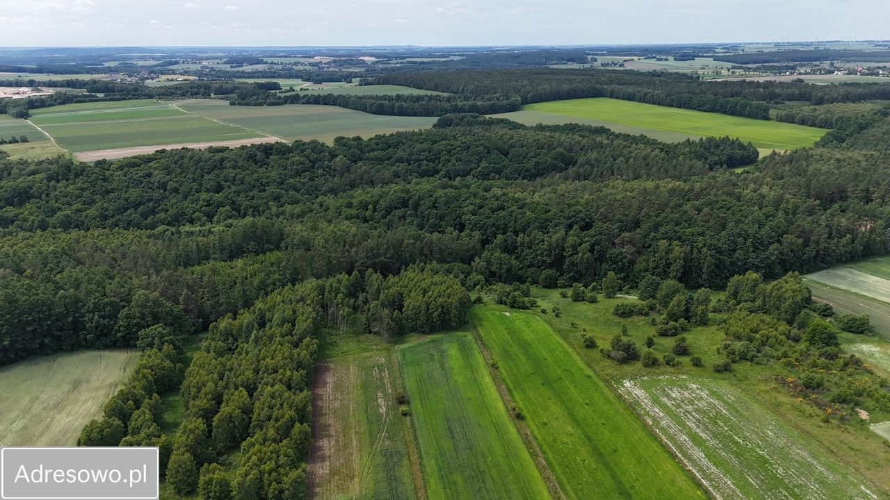 Działka rolna Kaczkowo. Zdjęcie 6