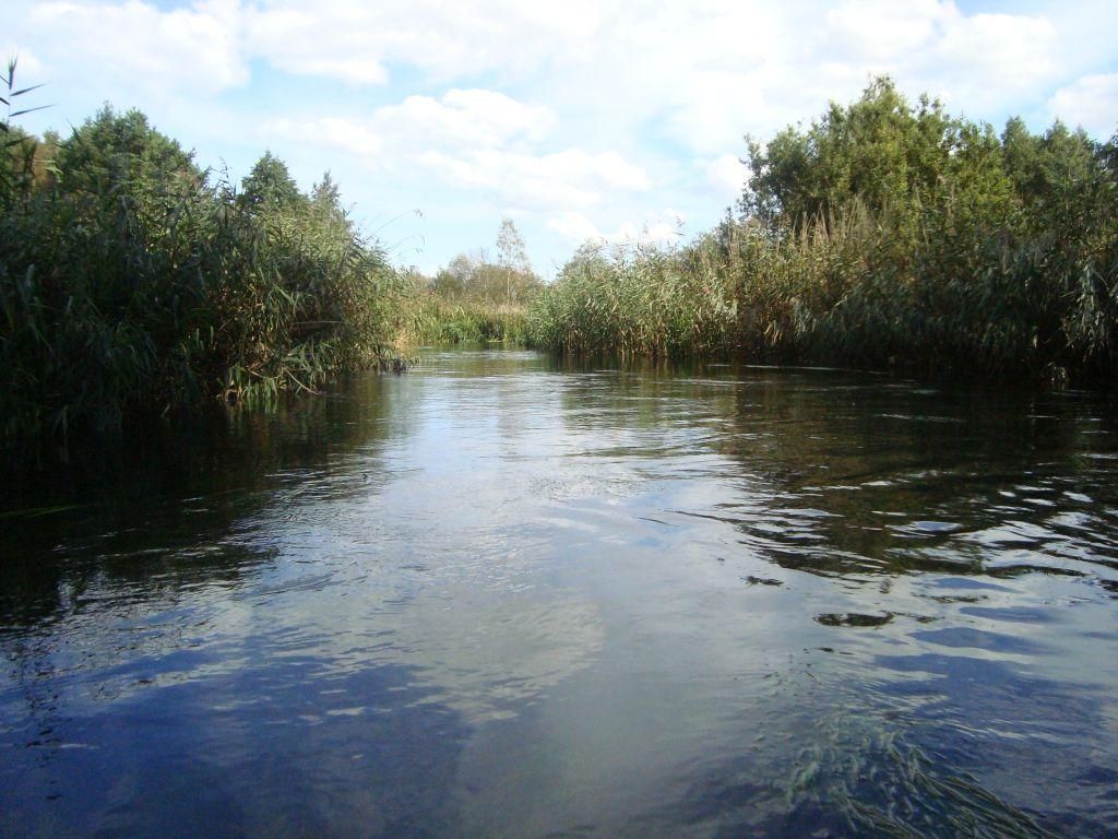 Działka rolna Dębki. Zdjęcie 15