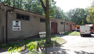 Lokal Chełm