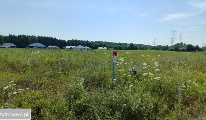 Działka budowlana Murowaniec, ul. Jesieni