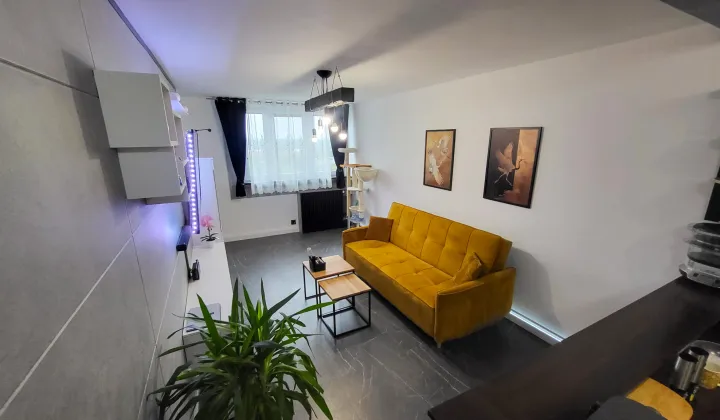 Mieszkanie 2-pokojowe Toruń Mokre, ul. Przy Kaszowniku