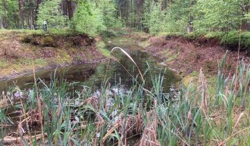 Działka leśna Osieck Kąciki, Polnej Rosy