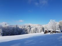 Działka inna Łopuszna. Zdjęcie 1