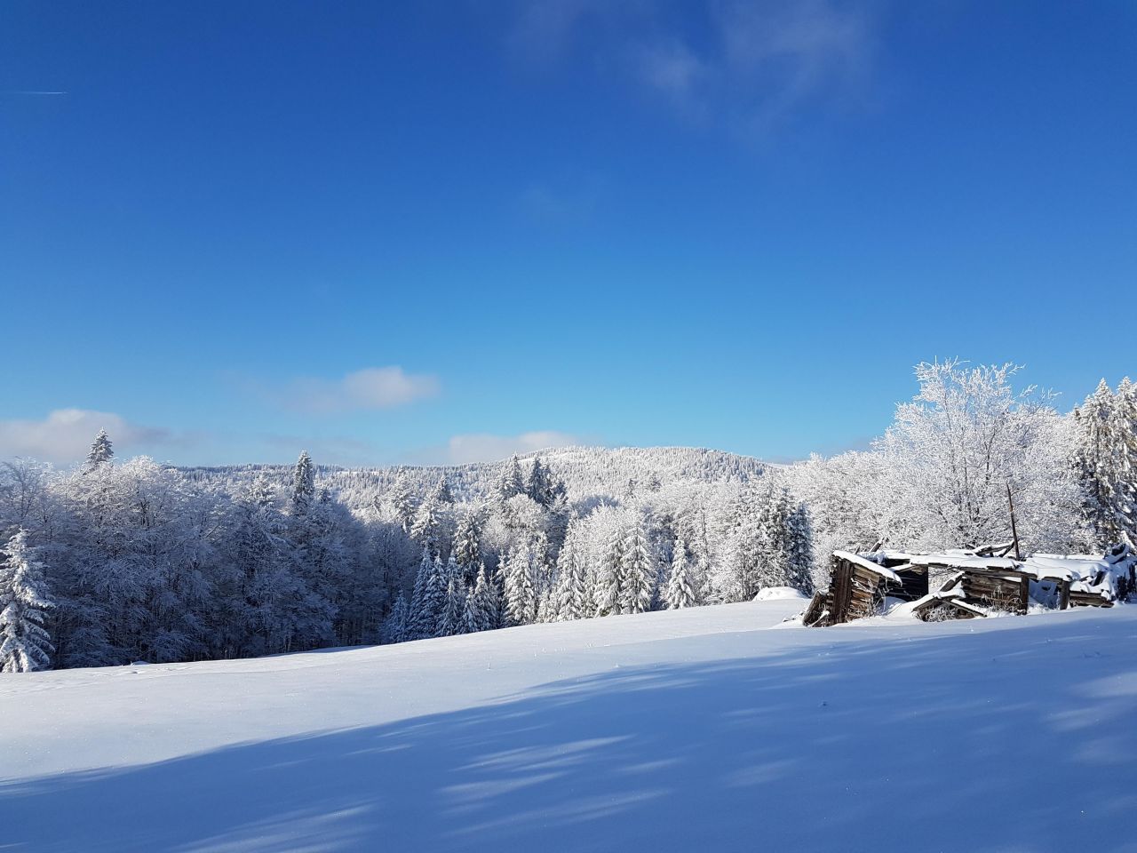 Działka inna Łopuszna. Zdjęcie 2