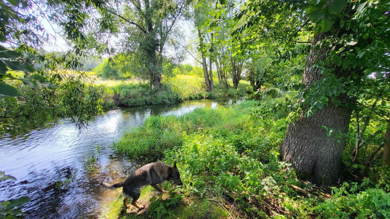 dom wolnostojący, 5 pokoi Markotów Duży. Zdjęcie 6