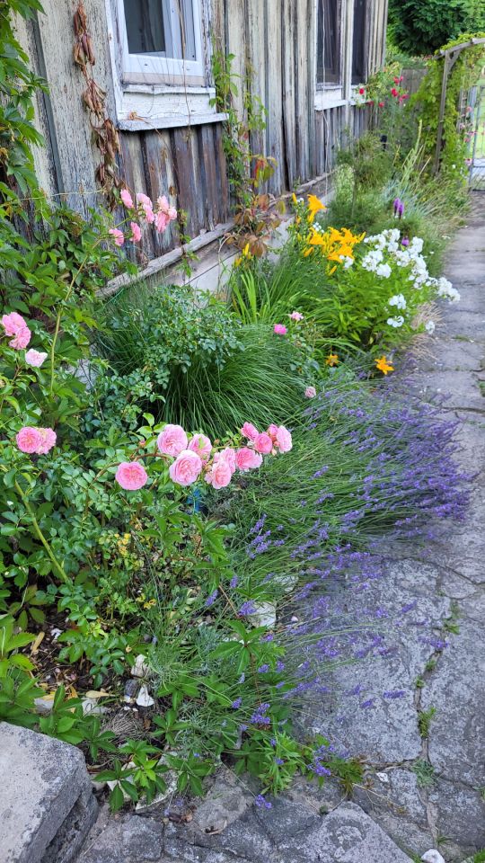 dom wolnostojący, 2 pokoje Parkoszowice, ulica. Zdjęcie 67