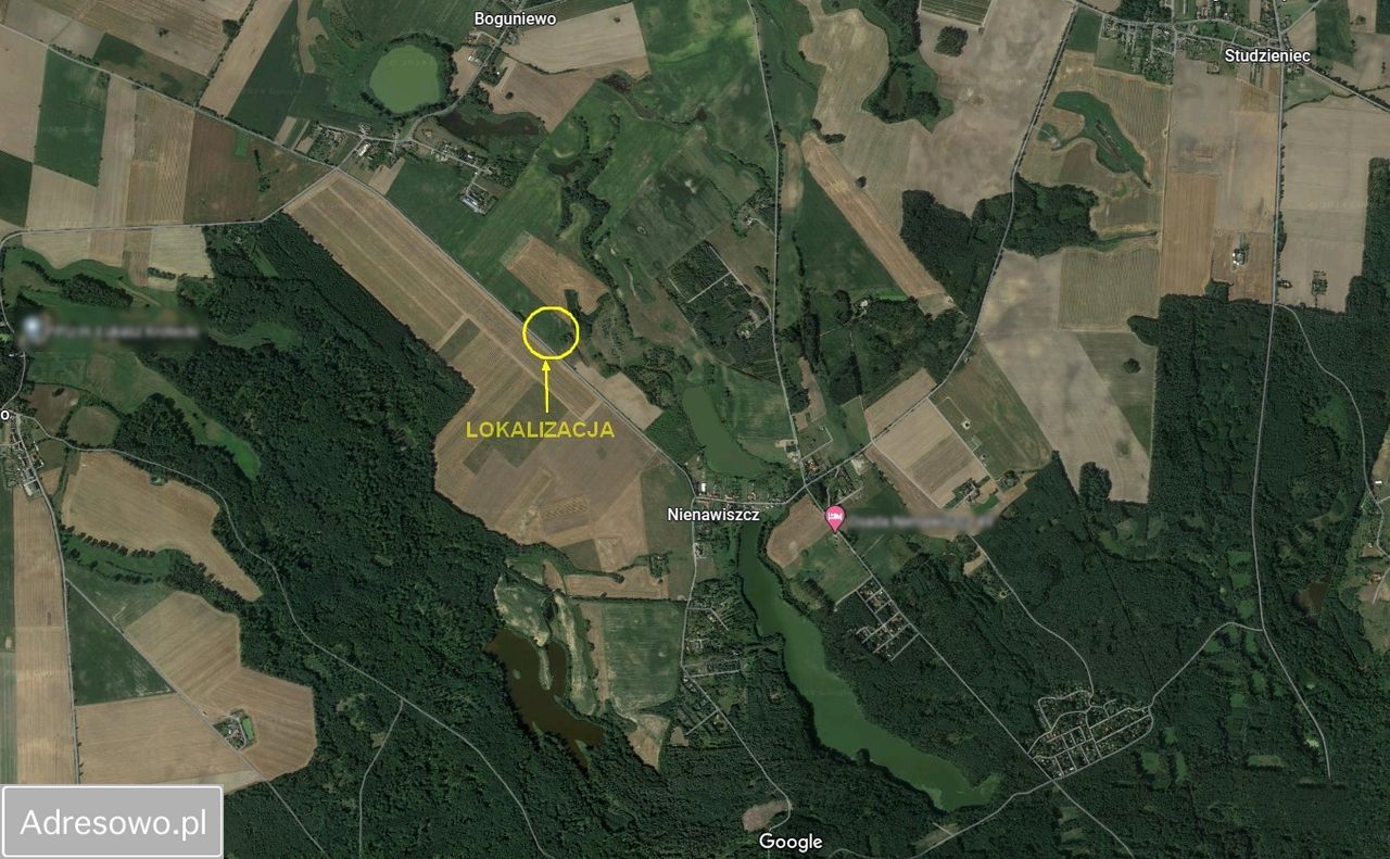 dom wolnostojący, 10 pokoi Nienawiszcz. Zdjęcie 3