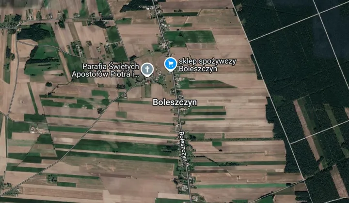 dom wolnostojący, 2 pokoje Boleszczyn