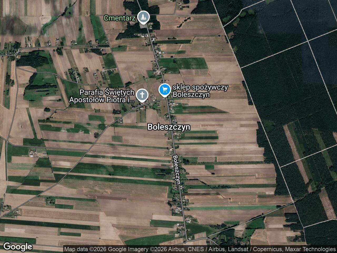 dom wolnostojący, 2 pokoje Boleszczyn. Zdjęcie 1