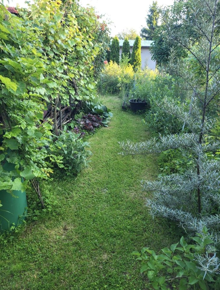 Działka rod Oława, ul. Oleśnicka. Zdjęcie 2