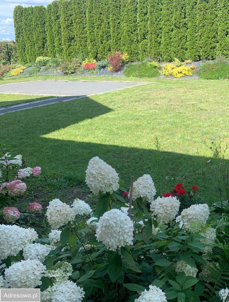 dom wolnostojący, 6 pokoi Rębiechowo. Zdjęcie 12