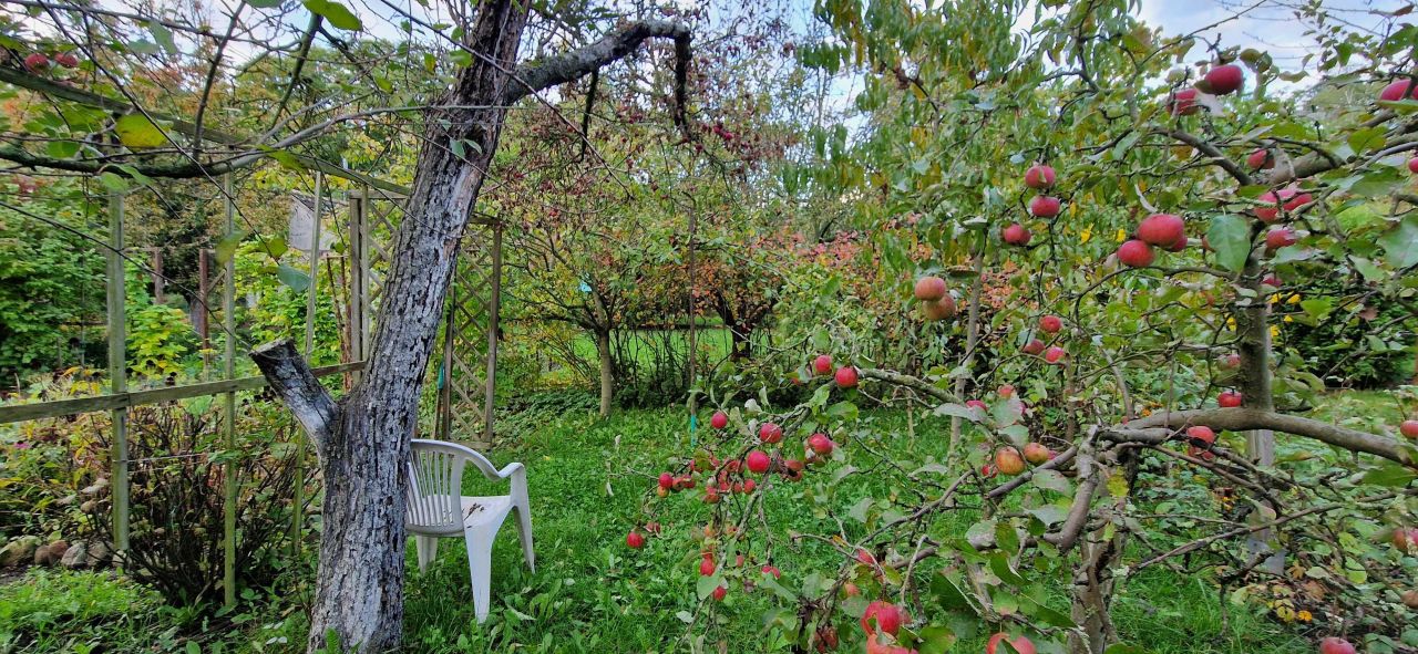 Działka rod Bolesławiec, ul. Piastów. Zdjęcie 5
