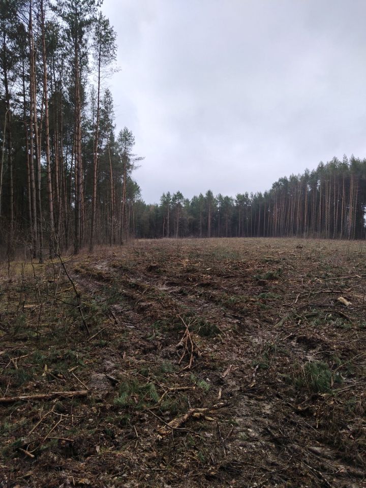 Działka rolna Arbasy Duże. Zdjęcie 4
